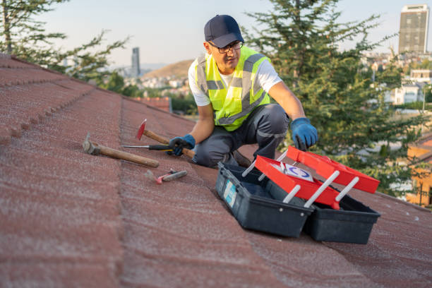 Best Fiber Cement Siding Installation  in Hemlock, MI